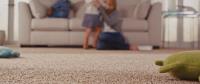 Back 2 New Cleaning - Carpet Cleaning Sydney image 2